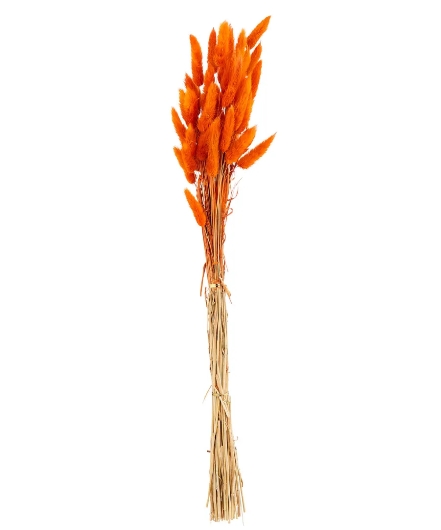 Joe Browns Floral Decor<Beautiful Faux Bunny Tail Grass