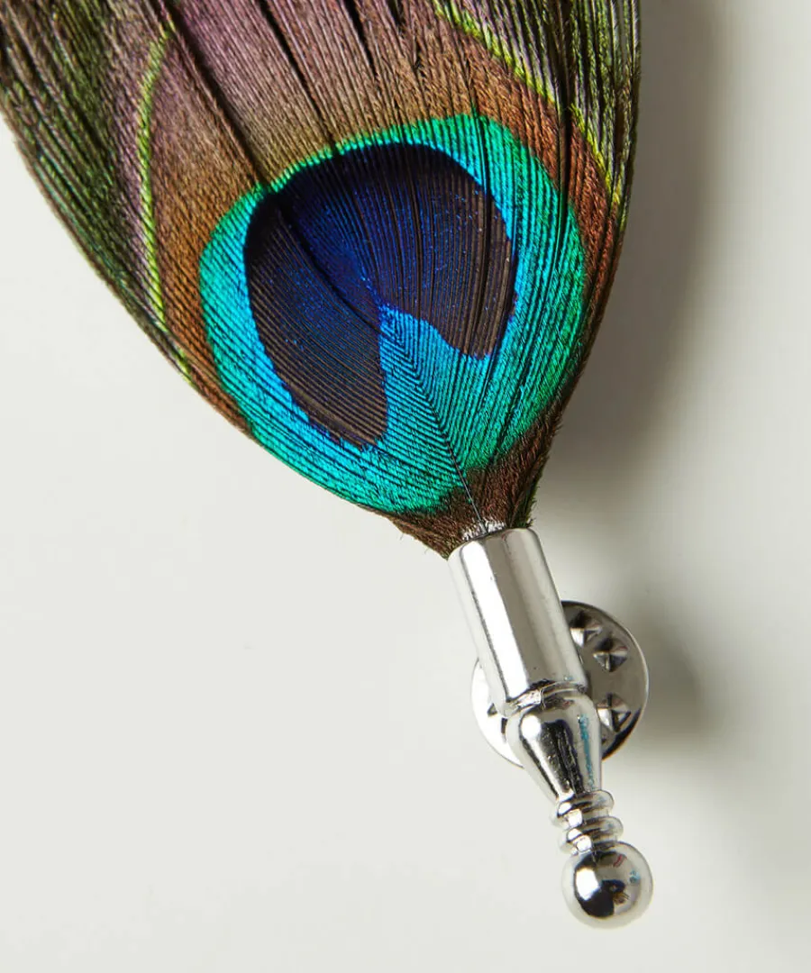 Joe Browns Accessories & Jewellery<Luxury Peacock Feather Pin