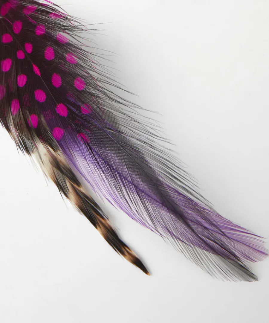 Joe Browns Accessories & Jewellery<Vibrant Feather Pin